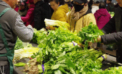 北京菜价出现季节性上涨 提前进入节前上涨区间