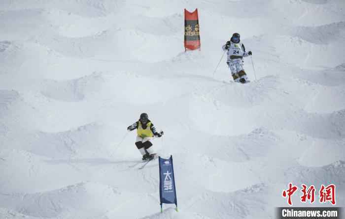 国际雪联自由式滑雪雪上技巧世界杯中国队宁琴首次闯入决赛
