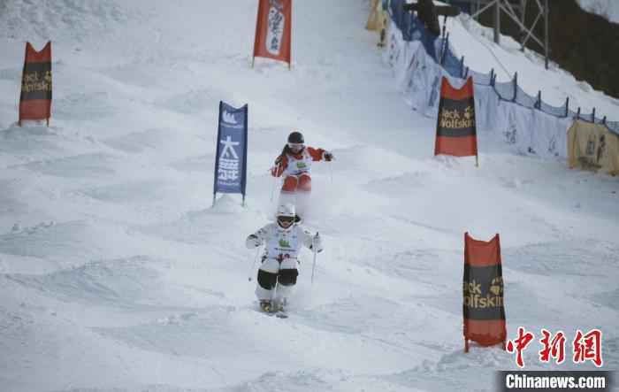 国际雪联自由式滑雪雪上技巧世界杯中国队宁琴首次闯入决赛