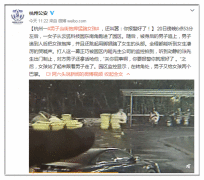 男子当街抱摔女生视频：当街猛踹 杭州滨江警方介入