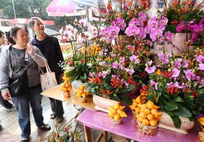 香港花墟商户:人流劲减 若生意惨淡或考虑结业