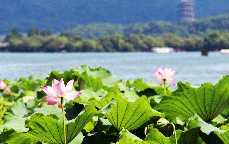 “城市大脑”让杭州变得更“聪明”