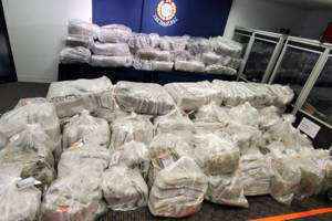 香港警方破获迄今最大一起大麻花毒品案 市值1亿港元