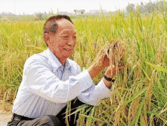 袁隆平：拓展“红线”外耕种面积，保障粮食安全
