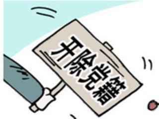 阳泉煤业原党委副书记白英被开除党籍 白英资料简历