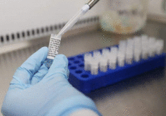 法媒:牛津大学研制的新冠疫苗将在巴西测试 法媒:牛津大学研制的新冠疫苗将在巴西测试