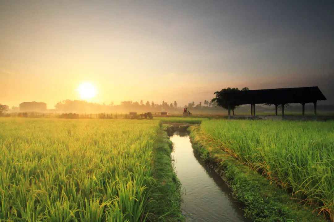 总书记关心的农业节水化,如何用科技来支撑?
