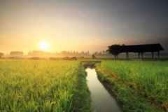 总书记关心的农业节水化,如何用科技来支撑? 总书记关心的农业节水化,如何用科技来支撑?