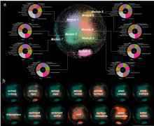 中国科学家绘制出地球微生物“社会关系”网络