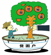 太行深山披“金银”——中药材助力冀南山区脱贫致富