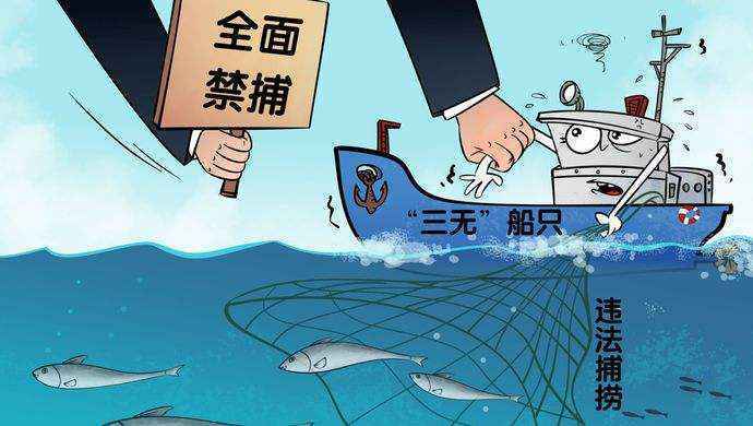 禁渔令下长江偷捕仍未禁绝 捕运销形成非法利益链
