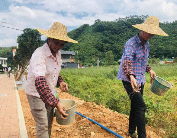 科技助力，迈向小康的“广东速度”