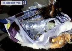 云南西双版纳警方查获一起抱枕藏毒案 缴毒7.9公斤