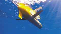 万米深海有只“飞翔”的“海燕”，解读刷新下潜深度世界纪录