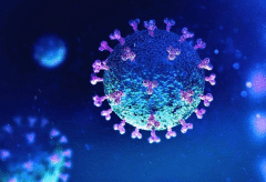 美筛查出可抑制新冠病毒的13种药物