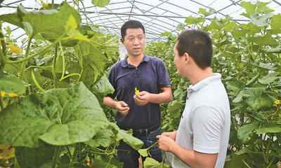 浙江打破唯学历等评价体系 4名农民评上正高职称