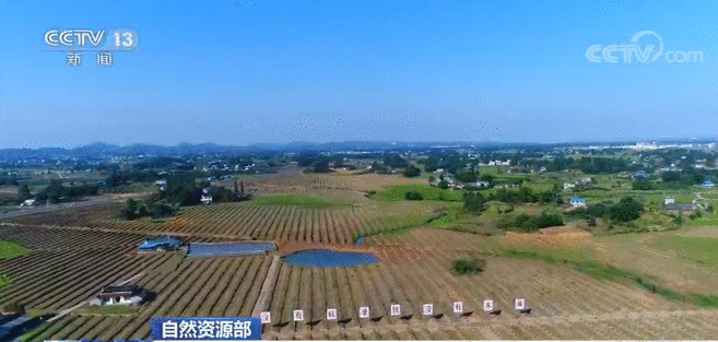 自然资源部：2020年底前完成全国农村地籍调查