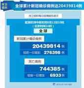 世卫组织:全球累计新冠确诊病例达20439814例 世卫组织:全球累计新冠确诊病例达20439814例