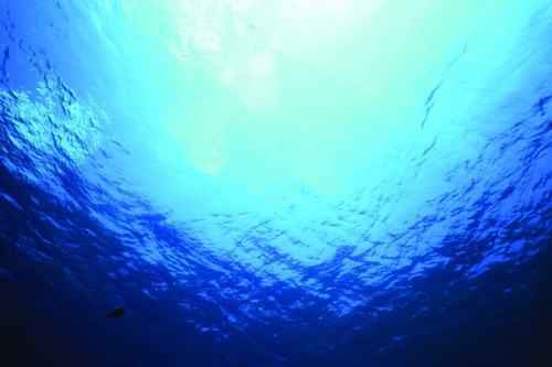 深潜、深钻、深网 三大手段探索海洋深处的奥秘