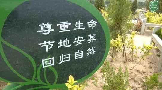 天津出台标准对节地生态安葬给予奖励补贴