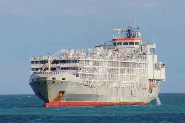 驶向中国的万吨巨轮在东海失踪 载43名船员5800头牛