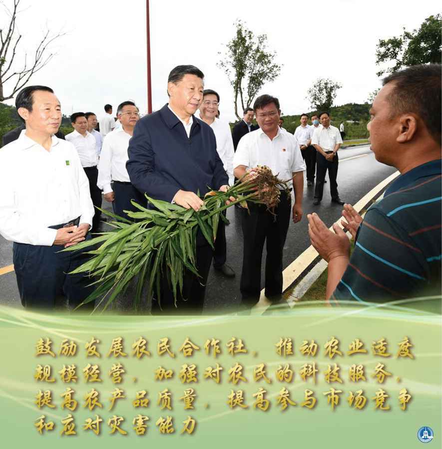 坚守人民情怀，走好新时代的长征路——习近平在湖南考察并主持召开基层代表座谈会纪实