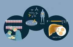 从头顶的星空到微小的病毒——2020年度诺贝尔科学奖揭晓 从头顶的星空到微小的病毒——2020年度诺贝尔科学奖揭晓