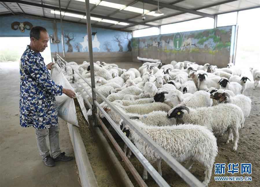 决战决胜夺取脱贫攻坚战全面胜利——写在第7个国家扶贫日之际