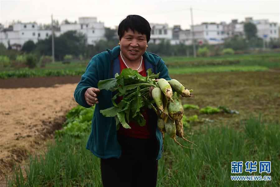 长淮新“斗水”记——写在新中国治淮70年之时