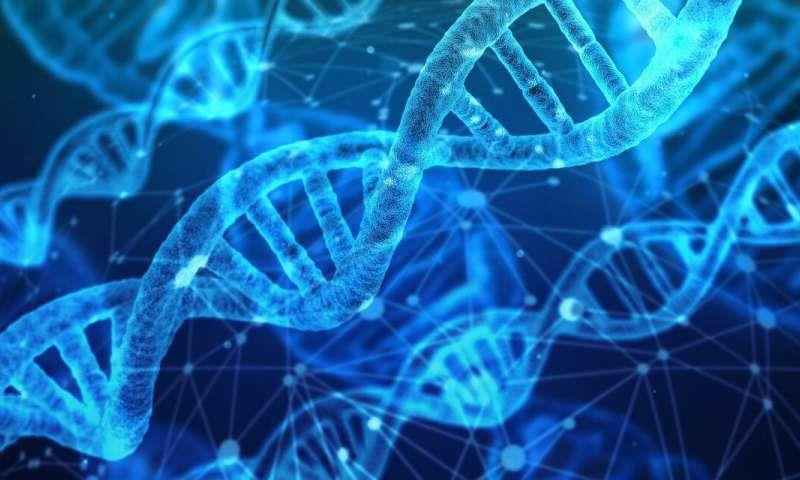 首张人类蛋白质组测序草图绘成，能为个体化医学和疾病新疗法提供更多关键信息