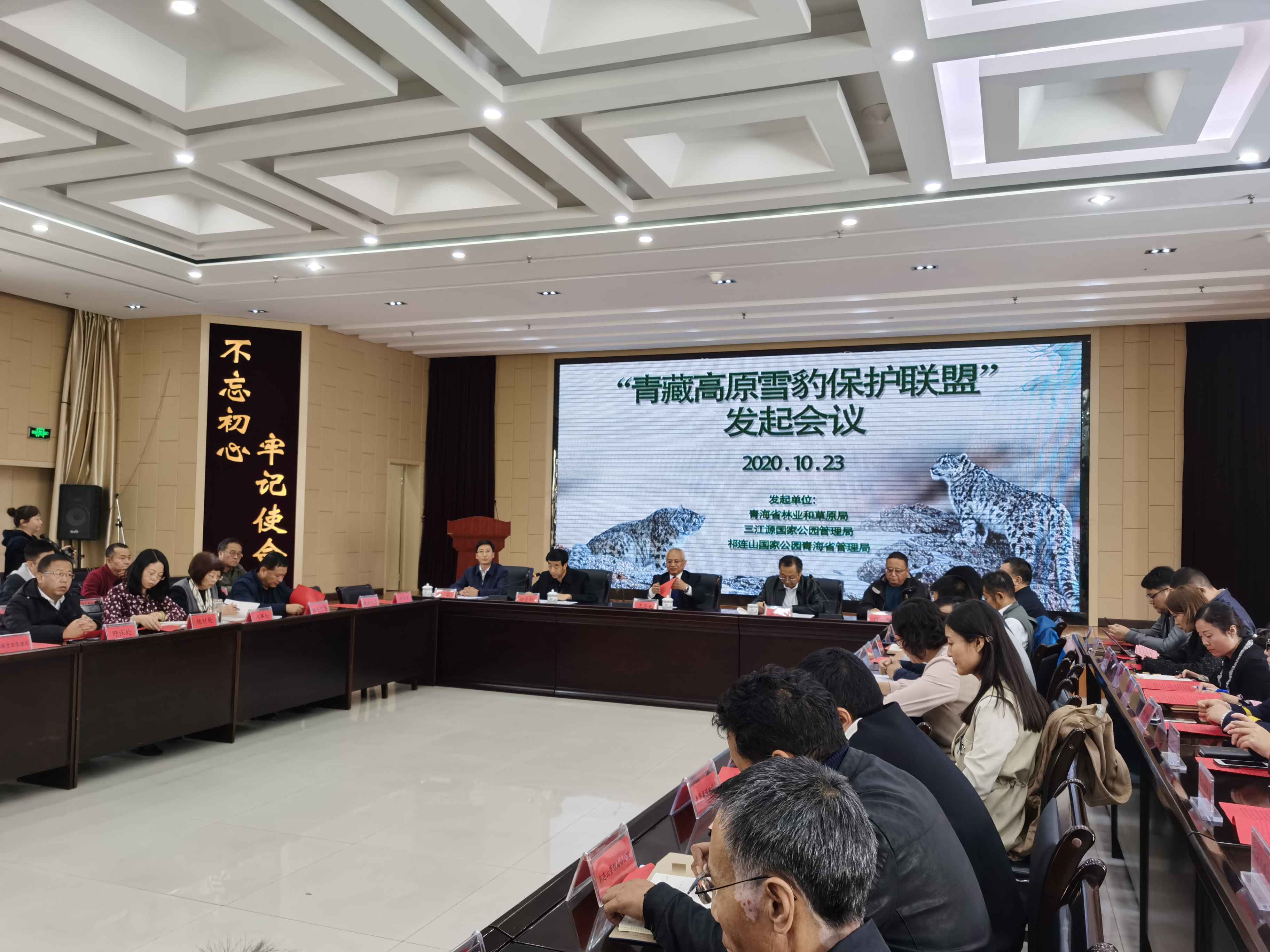 世界雪豹日，全球仅存几千只 保护新模式待开创