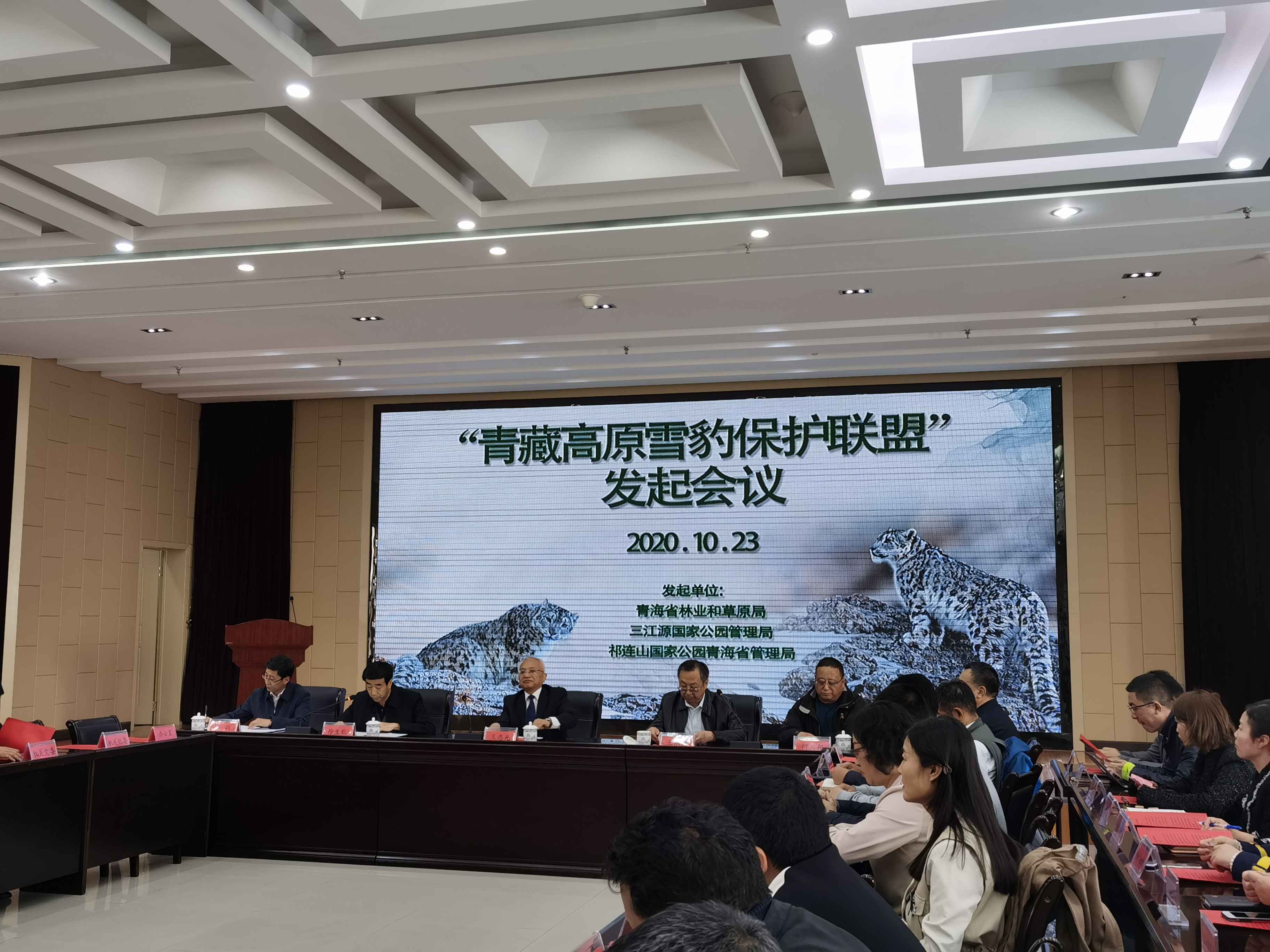 世界雪豹日，全球仅存几千只 保护新模式待开创