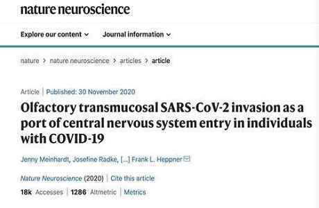 新冠病毒或能通过鼻子进入大脑|国际战“疫”行动