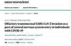 新冠病毒或能通过鼻子进入大脑|国际战“疫”行动