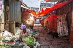 联合国预测:明年全球需要人道援助的人口将比今年多40% 联合国预测:明年全球需要人道援助的人口将比今年多40%