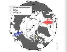 北极发现大量聚酯纤维