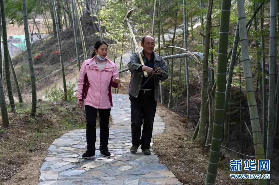 彪炳史册的伟大奇迹——中国脱贫攻坚全纪实