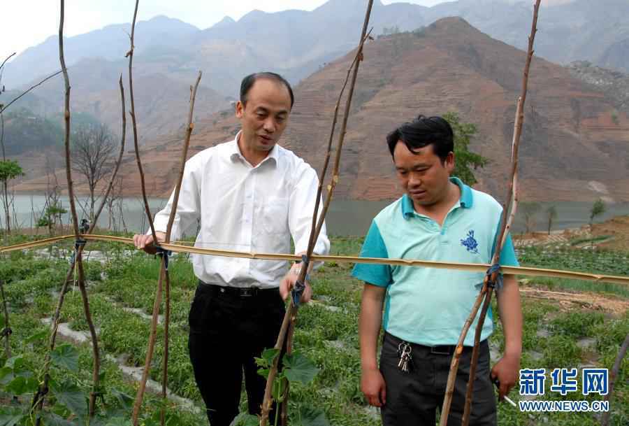 彪炳史册的伟大奇迹——中国脱贫攻坚全纪实
