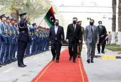 外媒：法德意外长联手访问利比亚