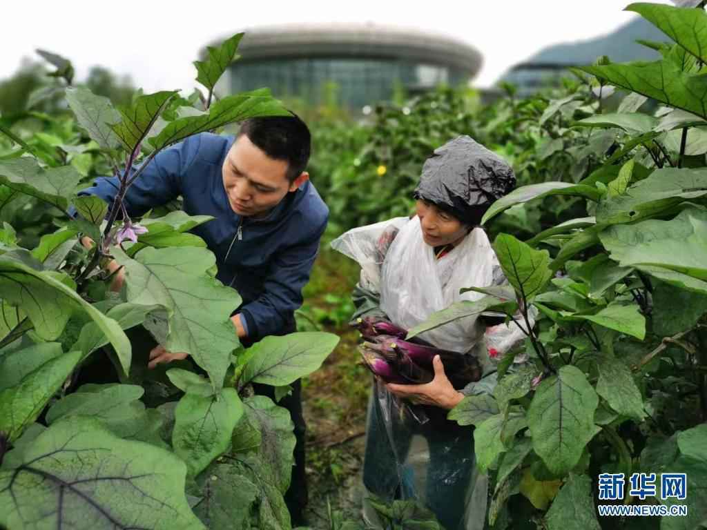 你们长眠，我们常念——新华社记者追忆扶贫英烈