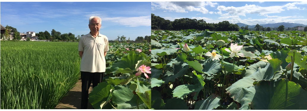 牛背上走下来的火箭总师与香港青年聊火箭和“上过太空的种子”