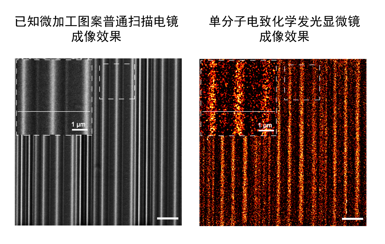  观察分子反应像数星星 新型化学显微镜拥有超高分辨率